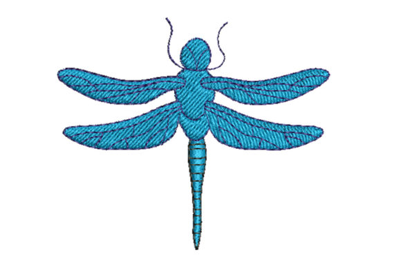 Dazzling Dragonfly: A Designer's Practical Review